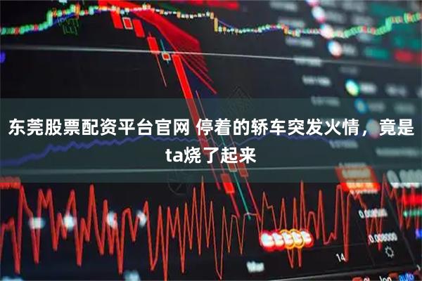 东莞股票配资平台官网 停着的轿车突发火情，竟是ta烧了起来