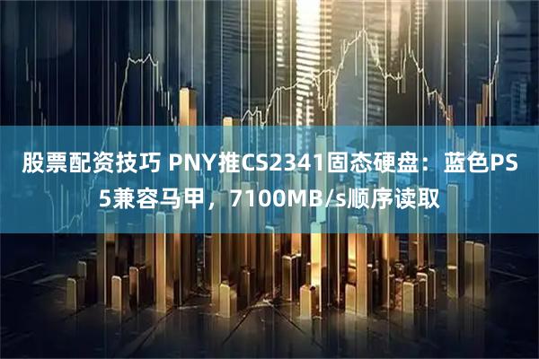 股票配资技巧 PNY推CS2341固态硬盘：蓝色PS5兼容马甲，7100MB/s顺序读取